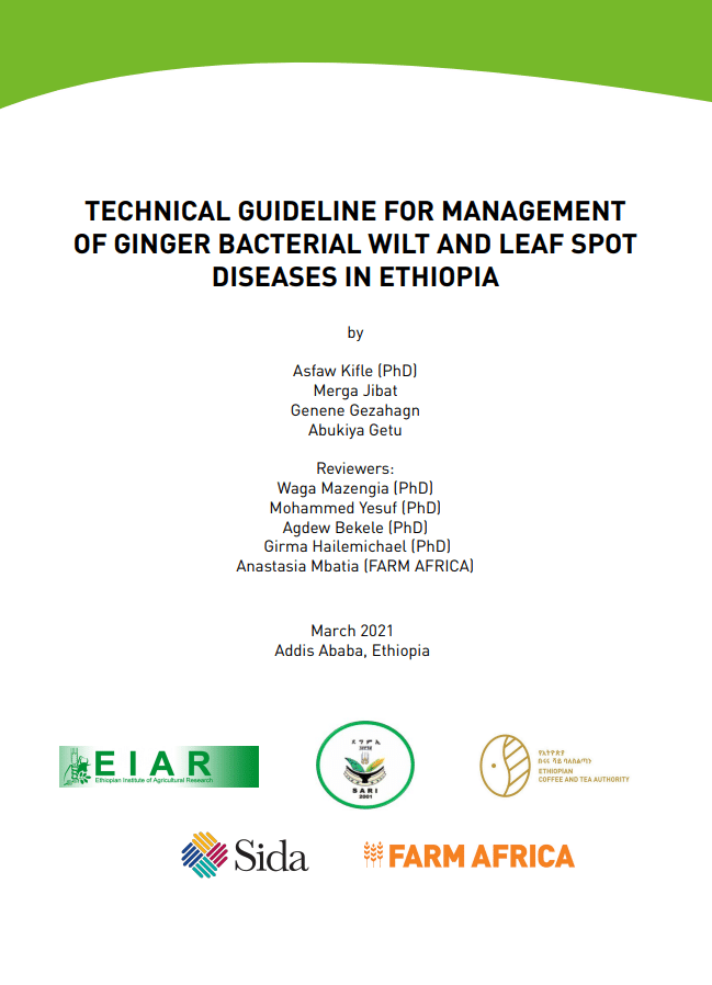 Guideline for Management of Ginger Bacterial Wilt and Leaf Spot ...