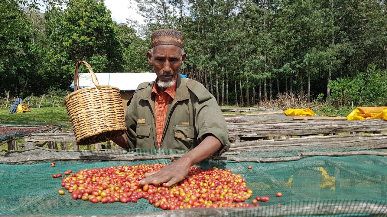 Farm Africa / Medhanit Gebrmichael