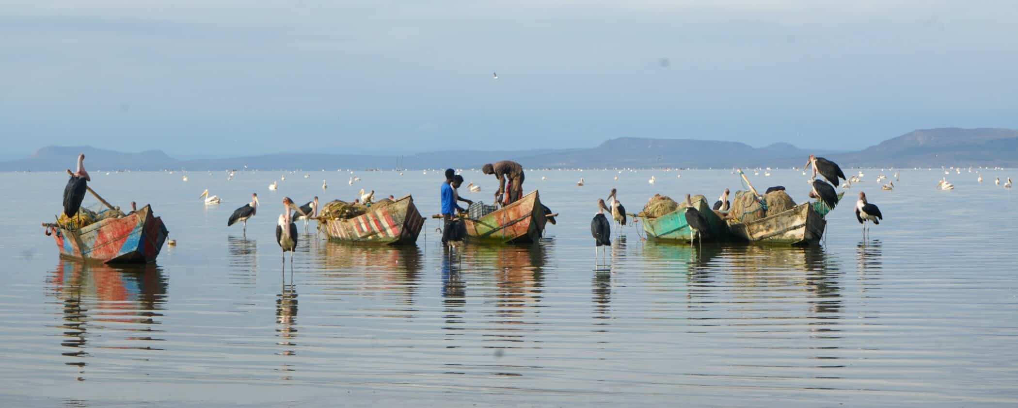fishermen in boats on Abijatta Lake Ethiopia with wild birds in background