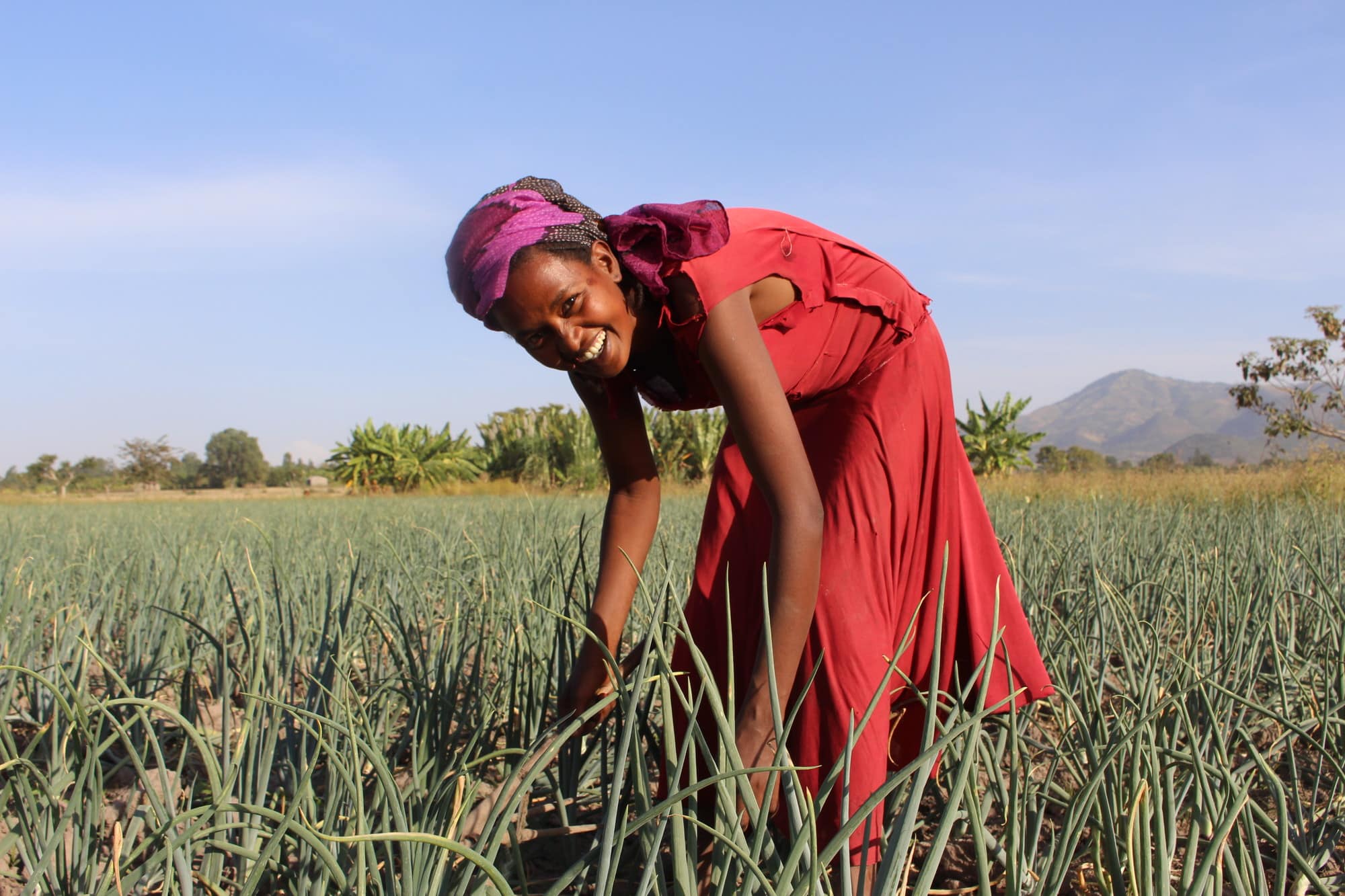 Woman at work in a farm field pausing to smile at the camera