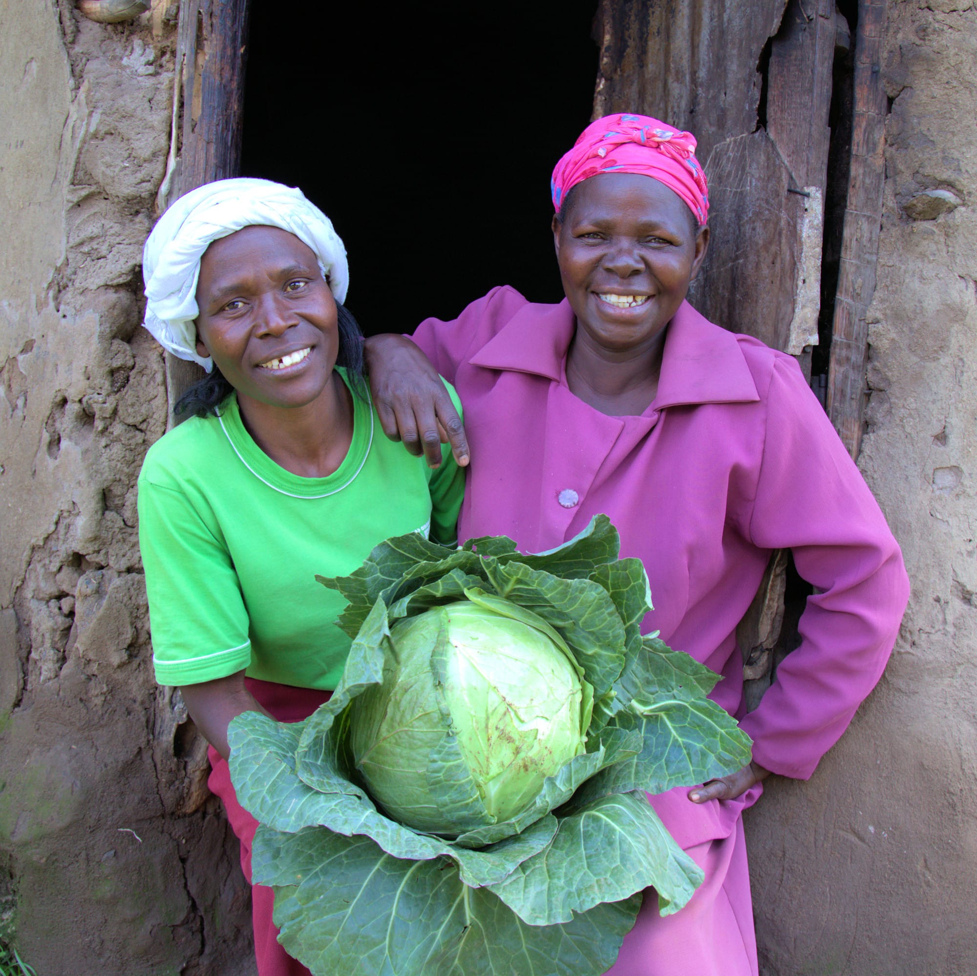 mother and daughter with a beautiful large cabbage they have grown.