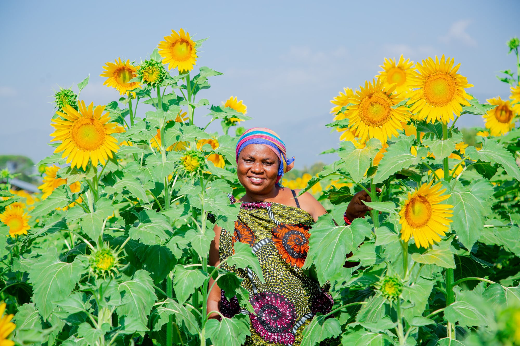 Mary Temu, a woman farmer from Tanzania, in her sunflower field.