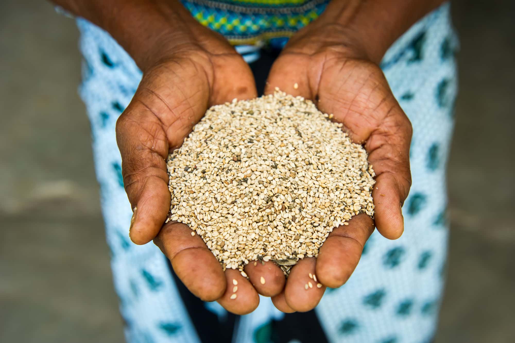 handful of sesame seed.