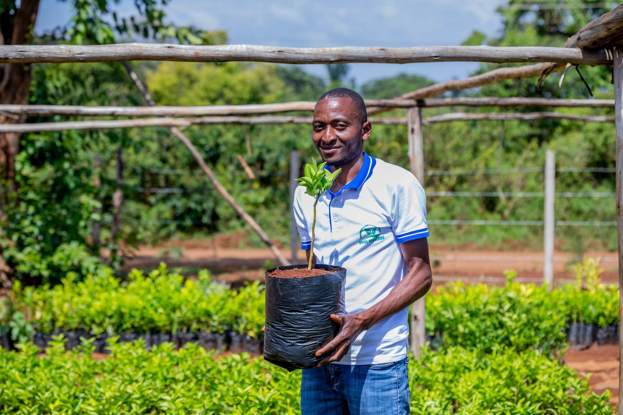 Simon Mwangangi at his tree nursery in Embu County. Photo: Farm Africa/ Bertha Lutome.