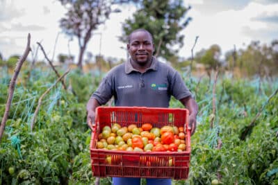 A smallholder farmer with tomatoes in Tharaka Nithi, Kenya.