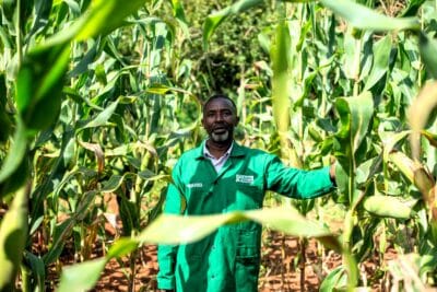 A village-based advisor taking part in Farm Africa's regenerative agriculture project, at his maize farm in Embu, Kenya.