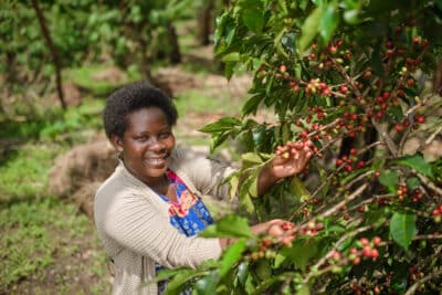 Patience Ninsiima, coffee farmer from Kanungu, Uganda, with her coffee trees.