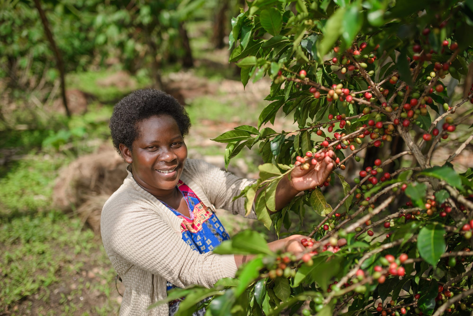 Patience Ninsiima, coffee farmer from Kanungu, Uganda, with her coffee trees.