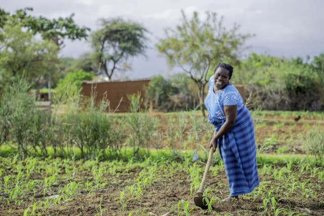 Female farmer Damaris, tending to her sorghum crop field.