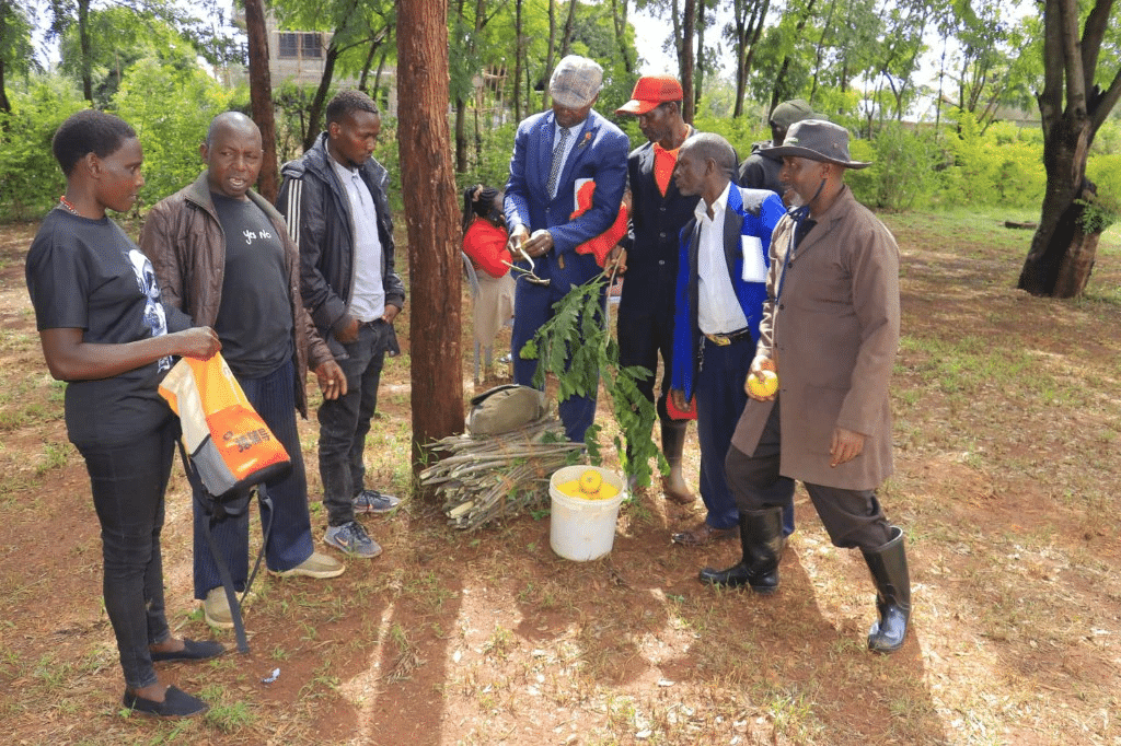 Galileo project in Embu Kenya