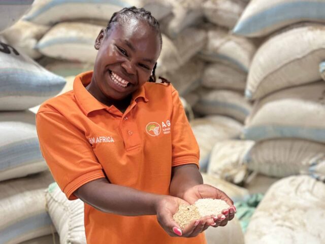 Felista, Farm Africa employee in Kenya holding a handful of grains in a warehouse.