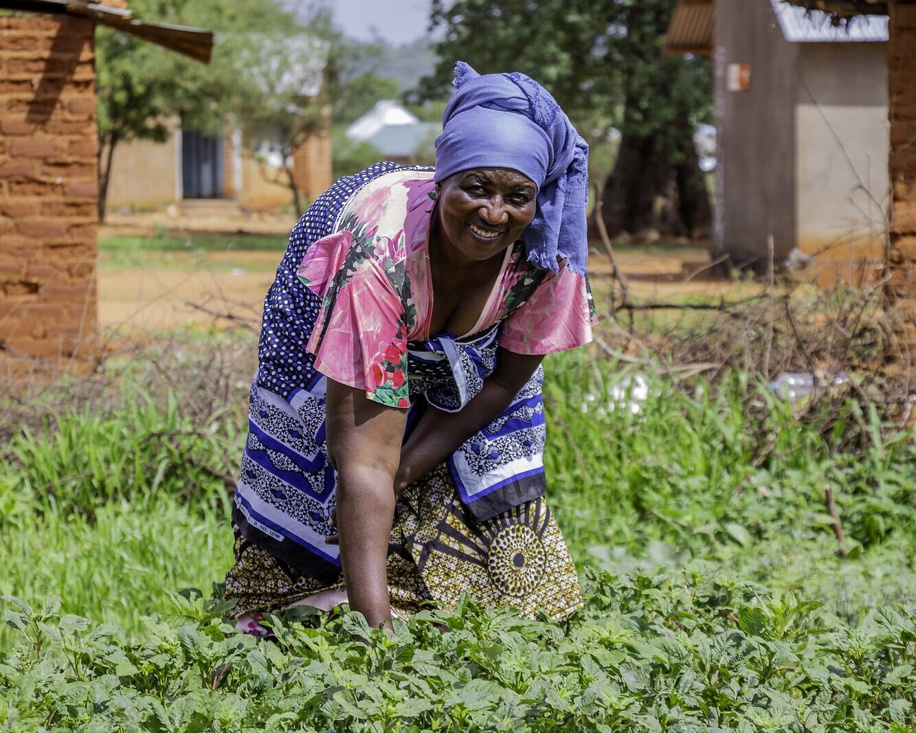 Judith, a Tanzanian farmer and grandmother, tends to her crops