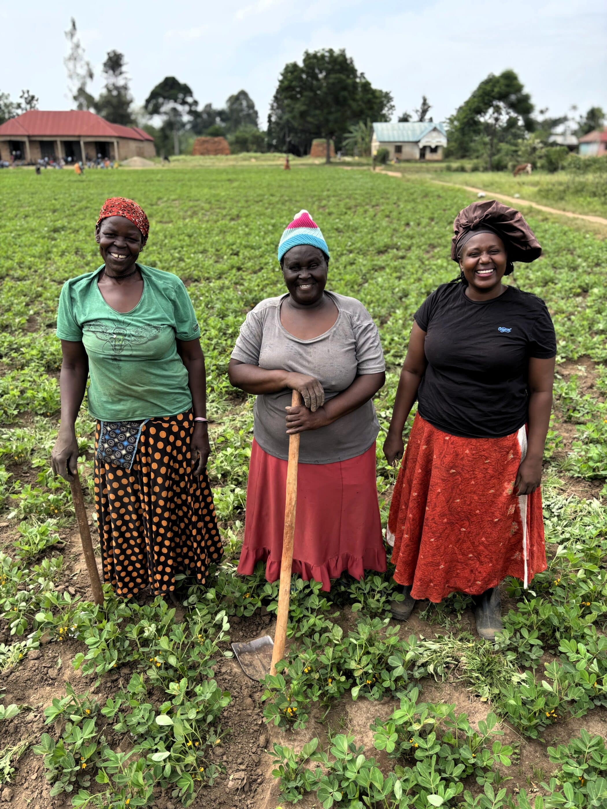 Ugandan farmer Judith Aumah with two other farmers in her field