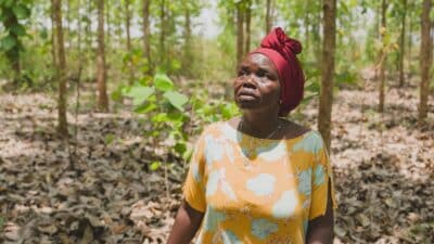 A woman looking up at the trees in a forest in Uganda.