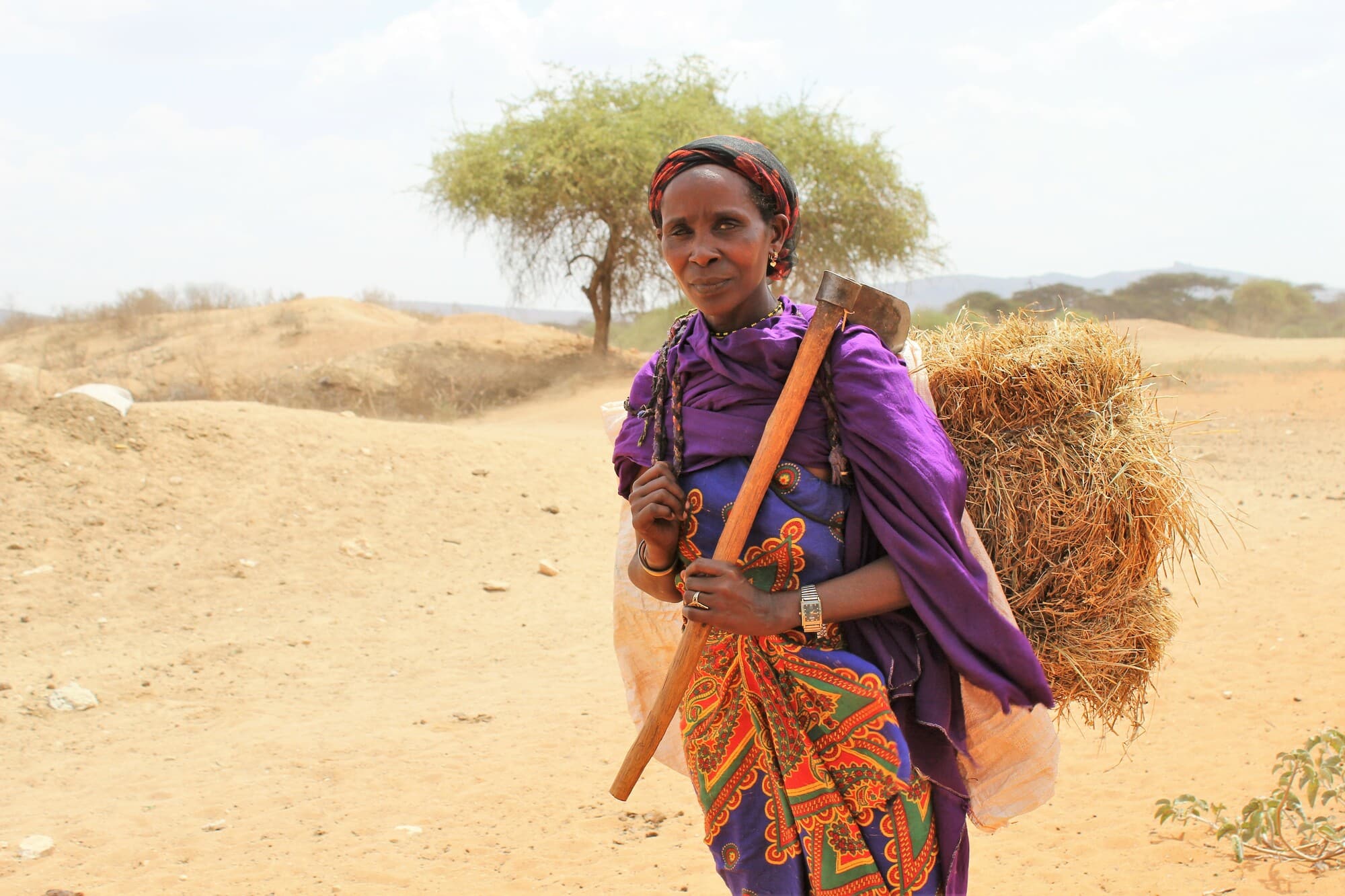 A female pastoralist carrying animal fodder in Ethiopia.