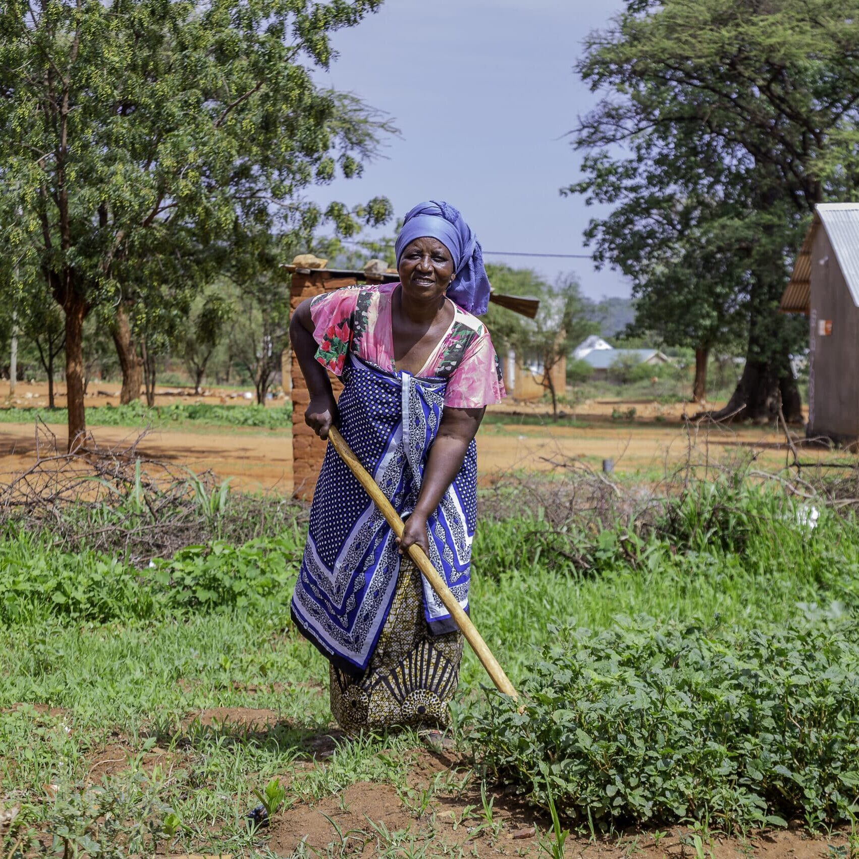 Tanzanian farmer Judith tending to crops in her community kitchen garden.
