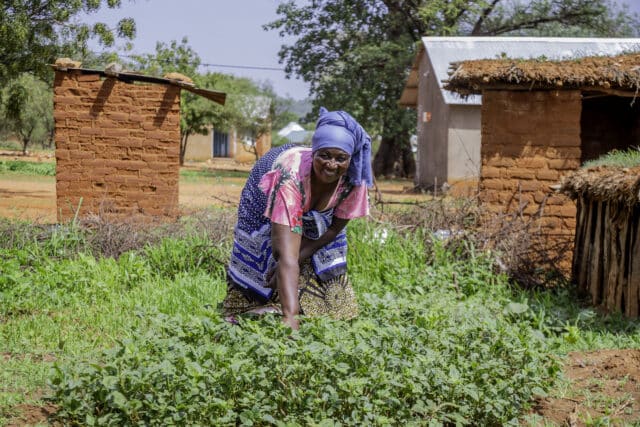 Judith, a Tanzanian farmer and grandmother, tends to her crops.
