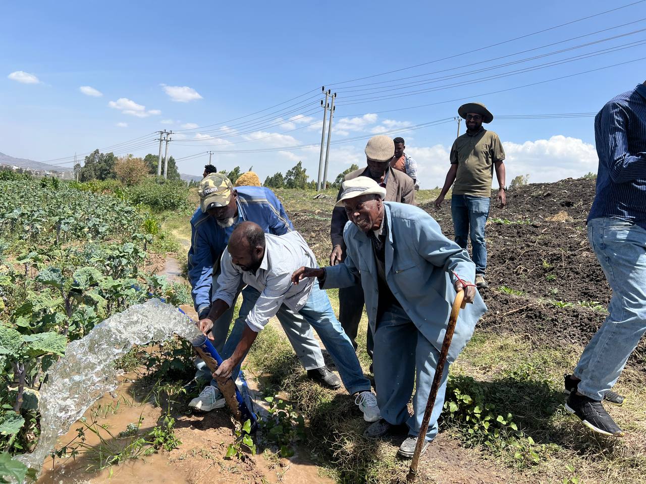 A group of farmers in a field in Ethiopia, using solar irrigation techniques.