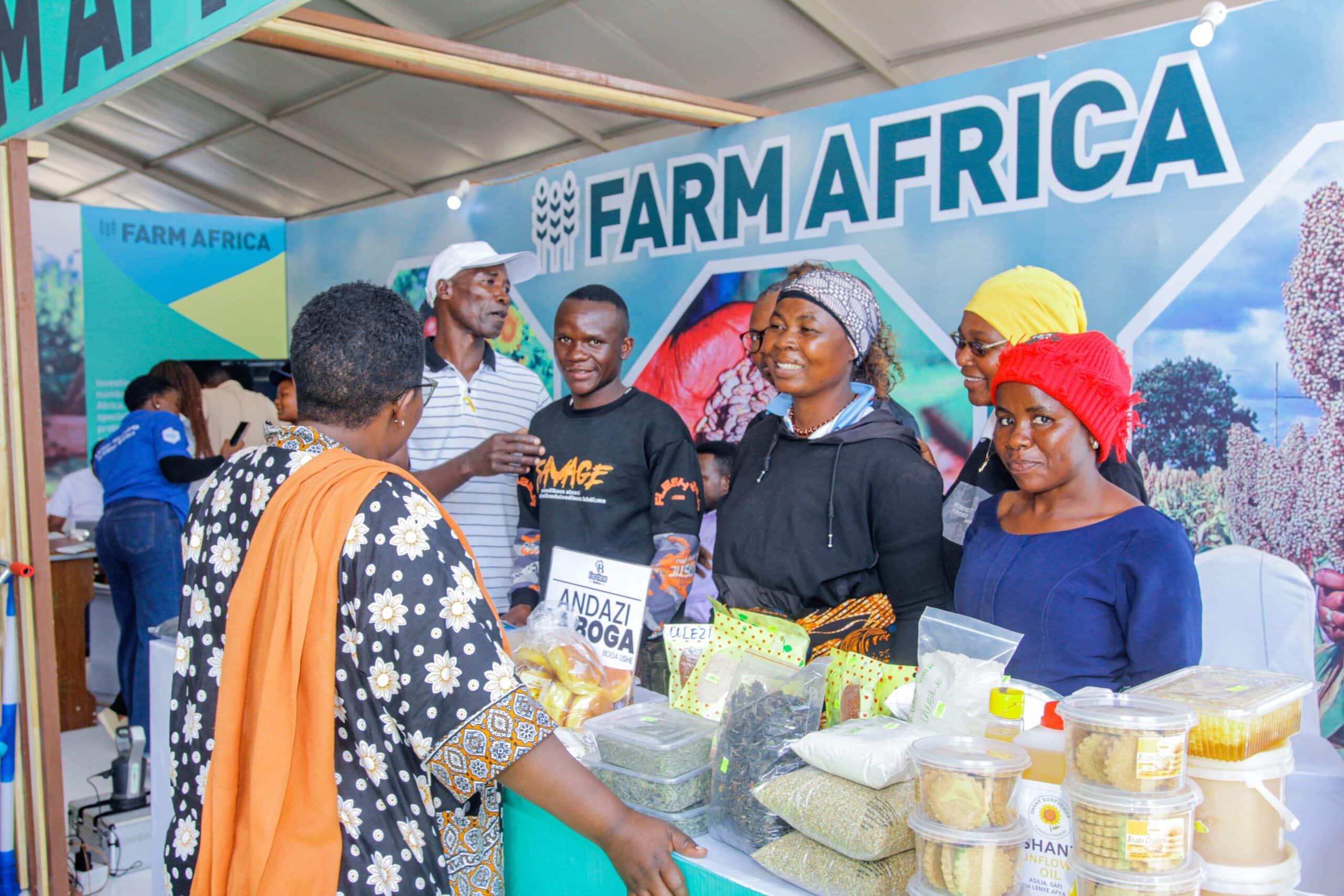 The Farm Africa stand at the Nane Nane agricultural exhibition.